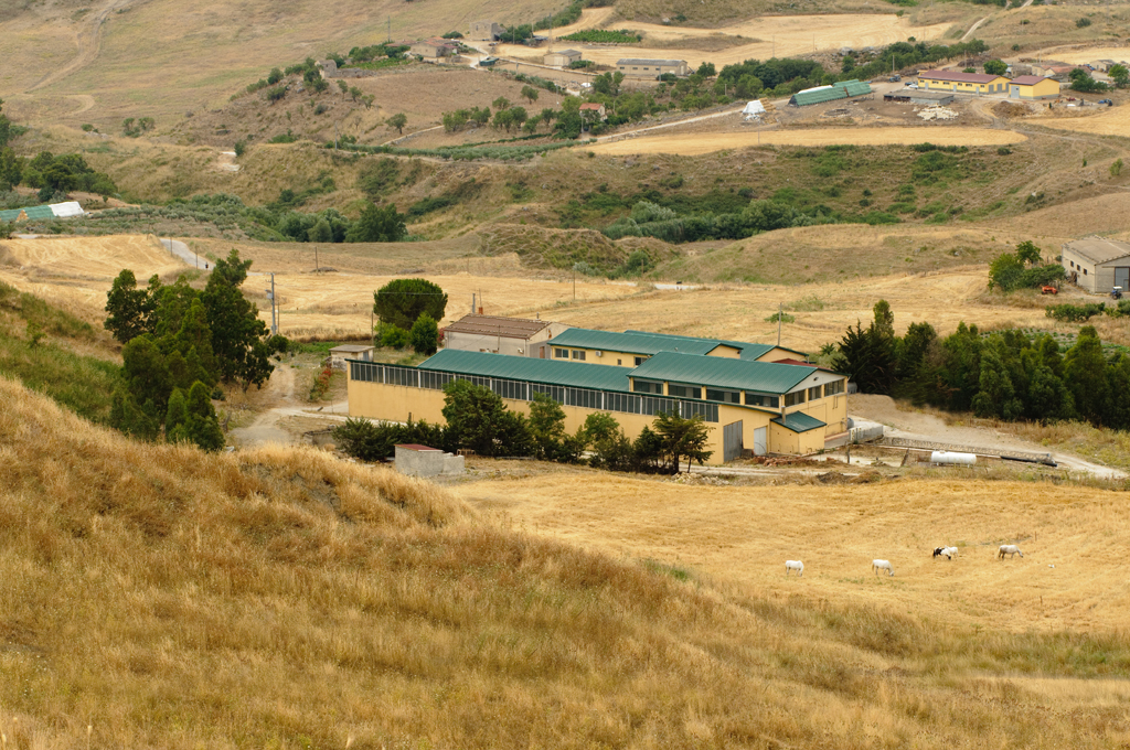 Caseificio Passalacqua - Azienda